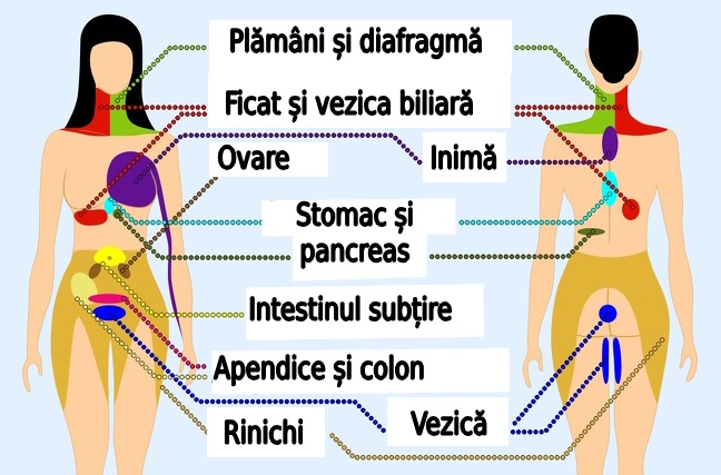 durere de prostatită pe partea stângă