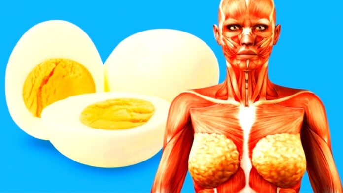 Dieta cu ouă: 10 kg în doar 7 zile! Iată cât de simplu este de ținut