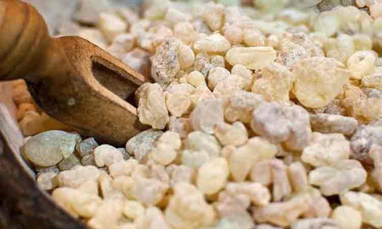 Tamaia – Darul Sfant care lupta impotriva celor mai grele boli si care ne reda sanatatea.