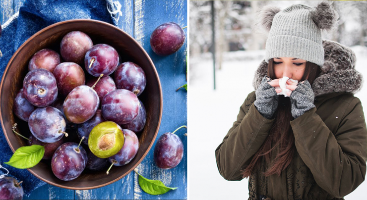 prune-in-sezonul-rece